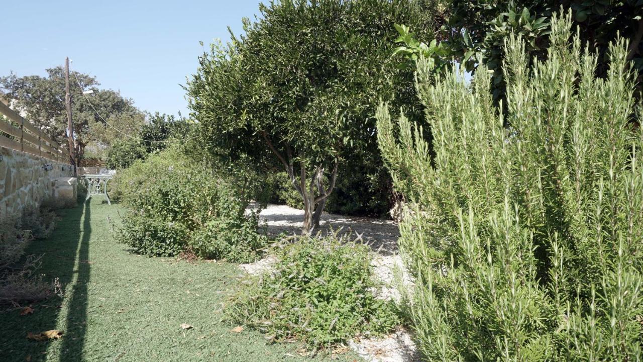 Studio Panagiota - Oasis Holiday Houses コキノス・ピルゴス エクステリア 写真